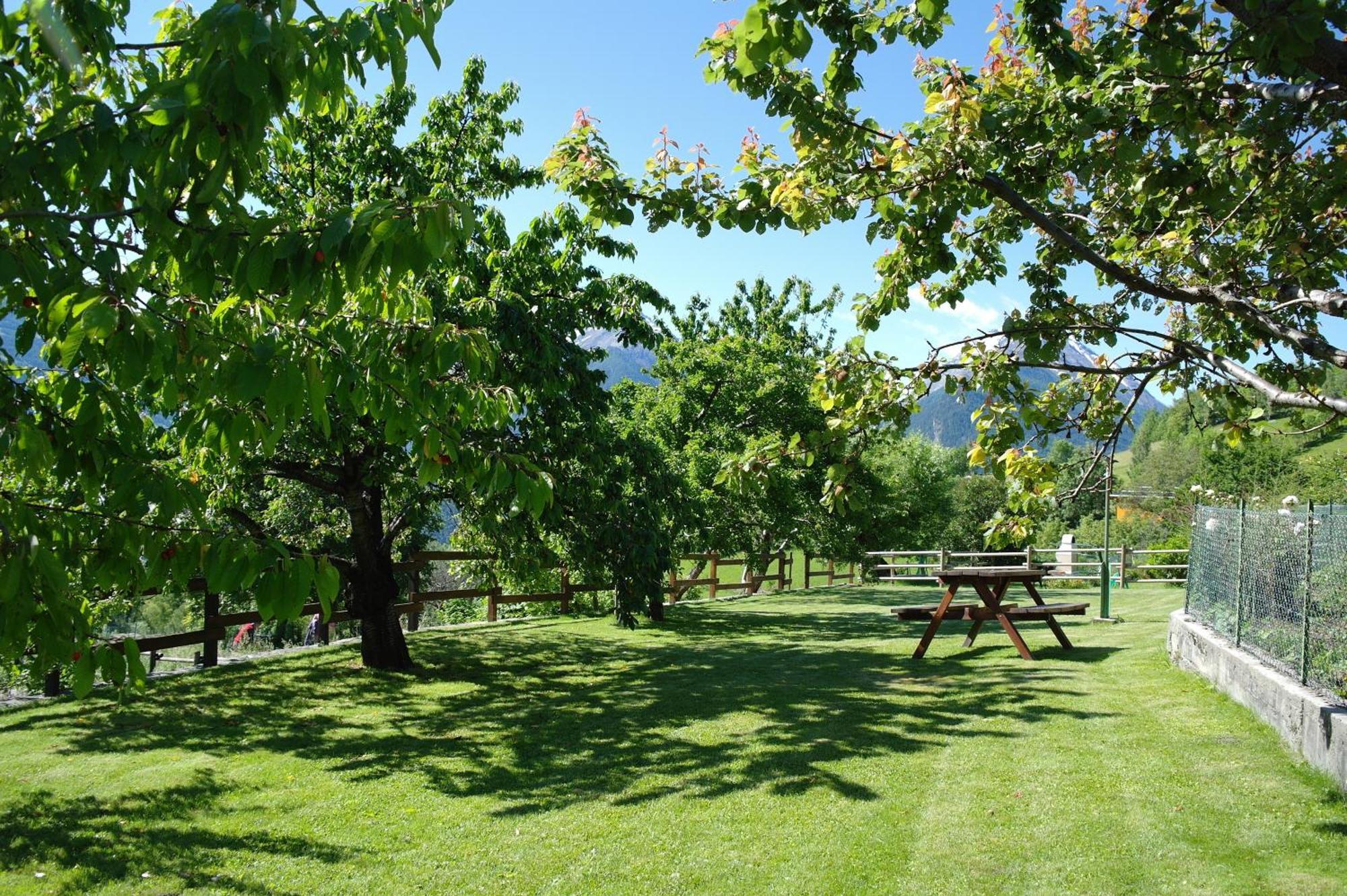 Le Vieux Noyer - Appartamenti Al Verde Villaggio Di Rumiod Сен-Пьер Экстерьер фото