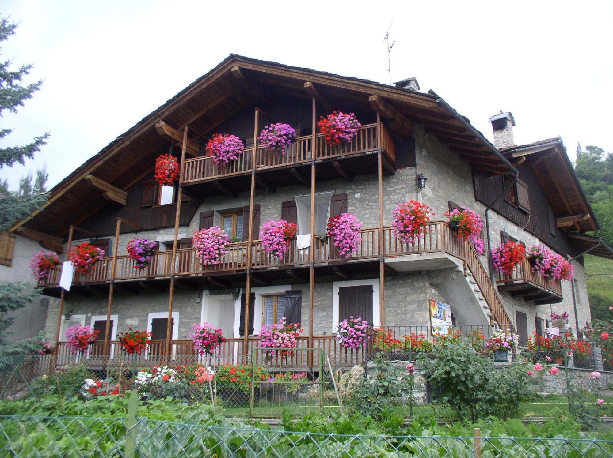 Le Vieux Noyer - Appartamenti Al Verde Villaggio Di Rumiod Сен-Пьер Экстерьер фото